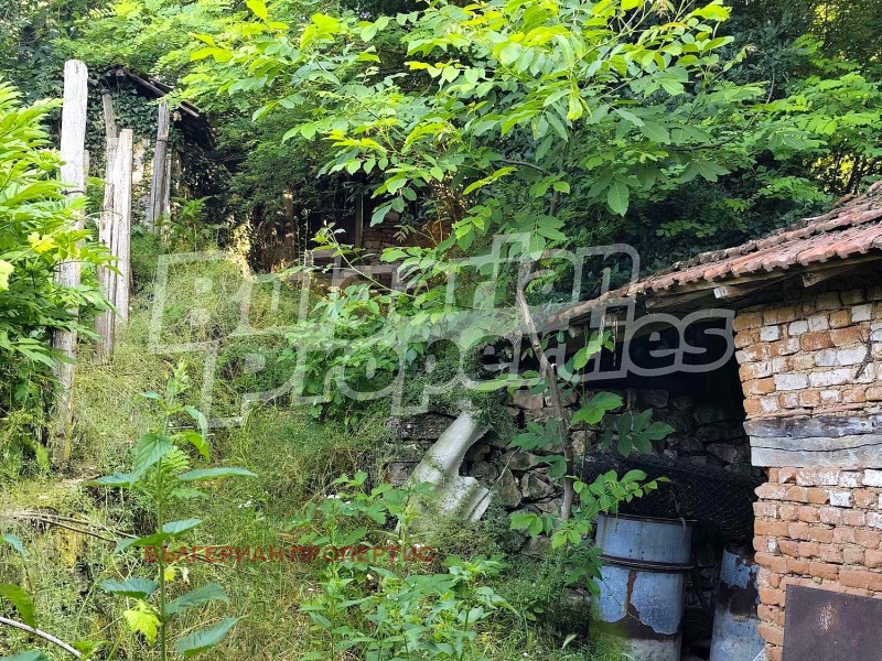 Til salgs  Hus region Lovech , Besjanovo , 161 kvm | 81966507 - bilde [15]