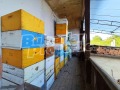 Продава КЪЩА, област Ловеч, с. Бежаново • 19000 € • 41662901 — Holmes.bg