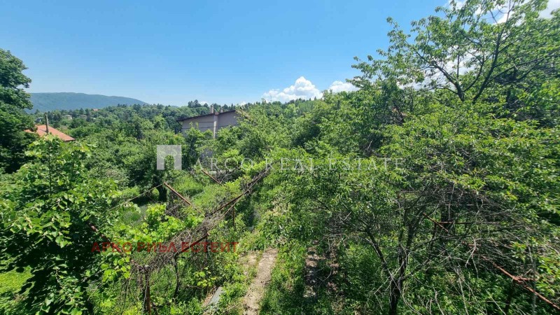 De vânzare  Complot Sofia , Bistrița , 1040 mp | 37898534 - imagine [4]