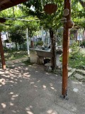 Продава КЪЩА, с. Згалево, област Плевен, снимка 1 - Къщи - 41446335