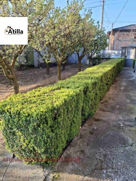 ������� ���� | Imot.bg � ����� ������ 16