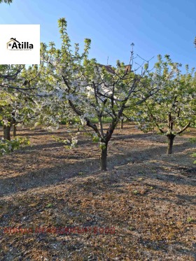 ������� ���� | Imot.bg � ����� ������ 17