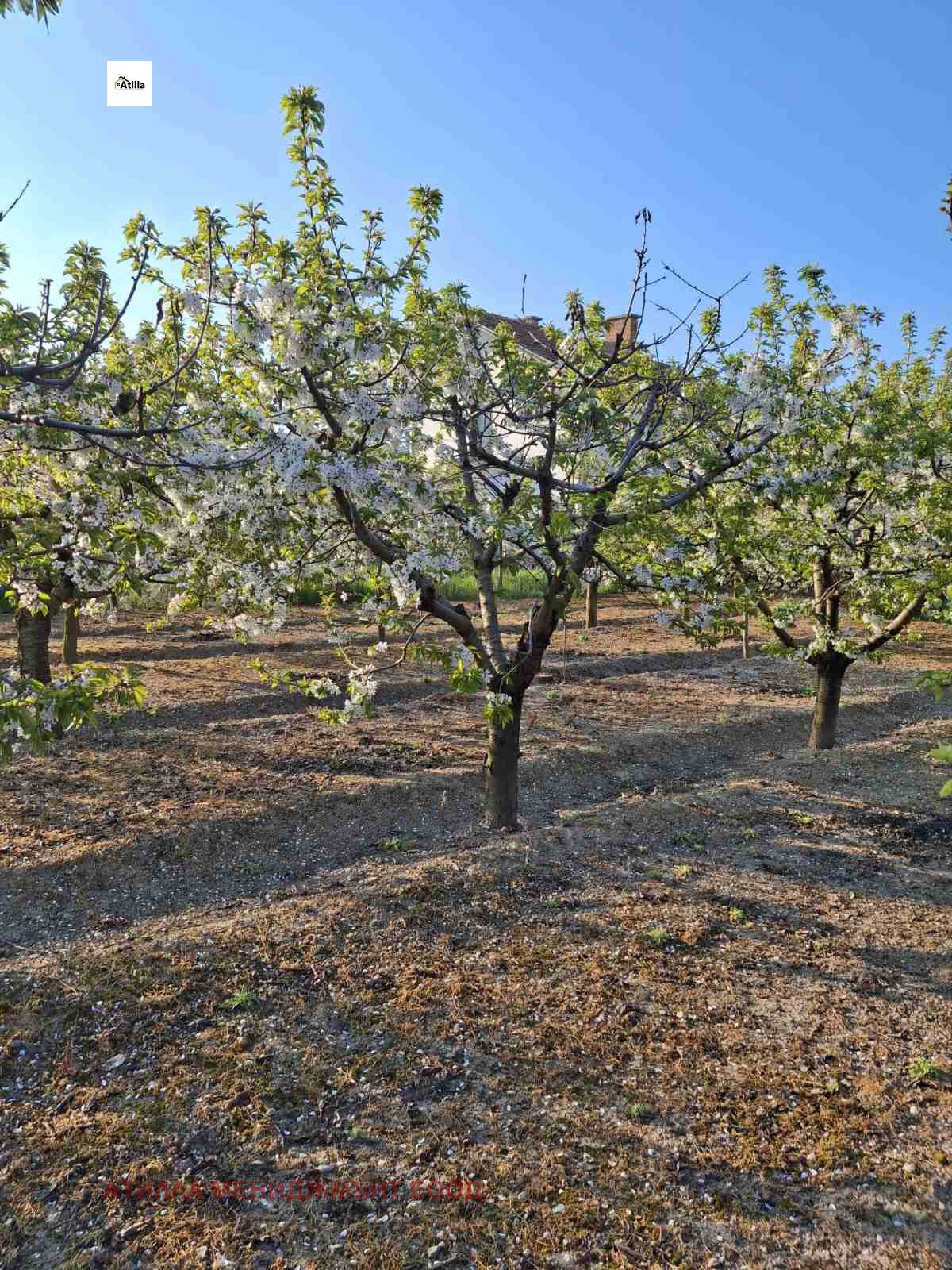 Продава КЪЩА, с. Синитово, област Пазарджик, снимка 17 - Къщи - 50426397