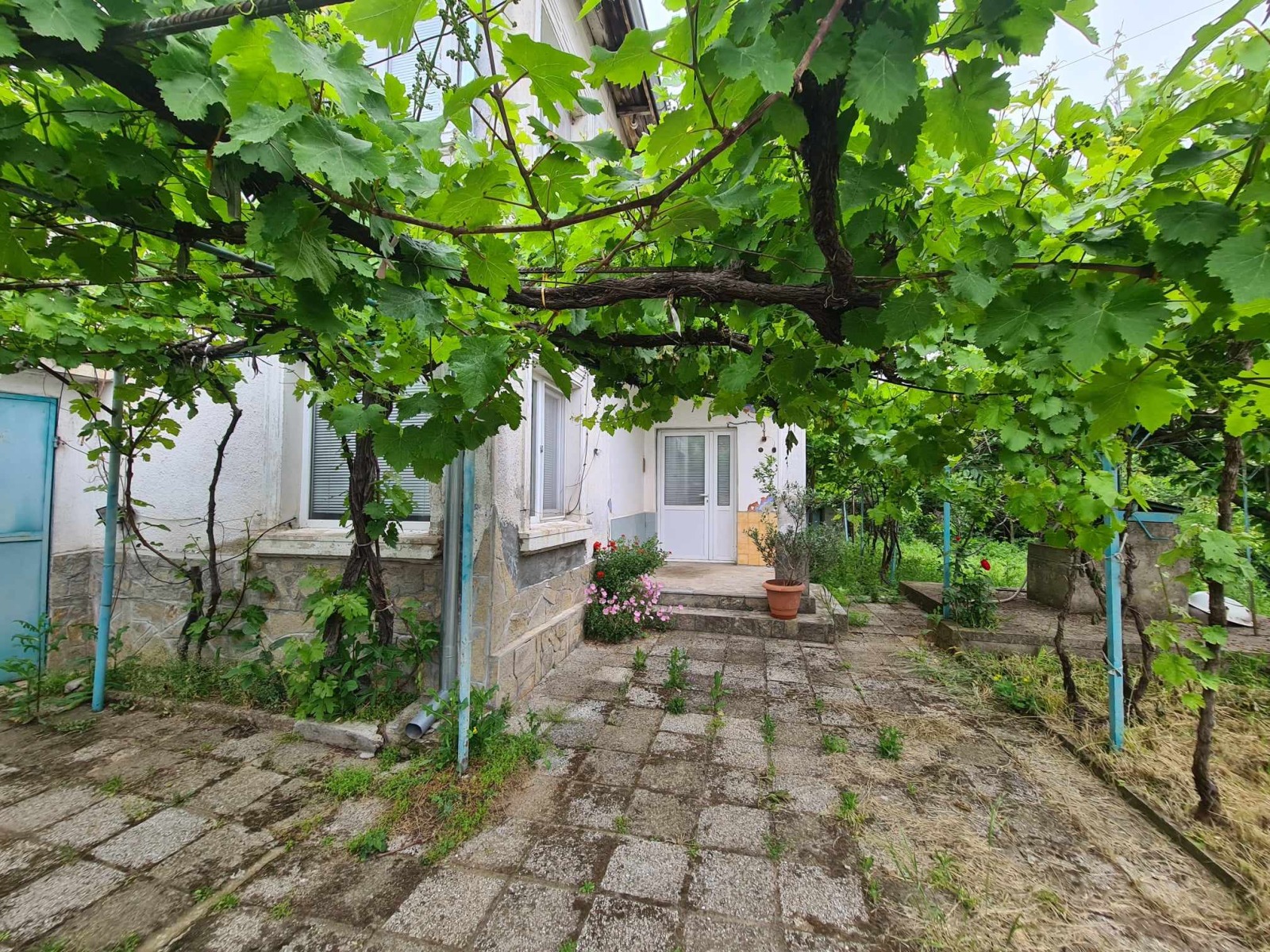 ������� ���� | Imot.bg � ����������� 1