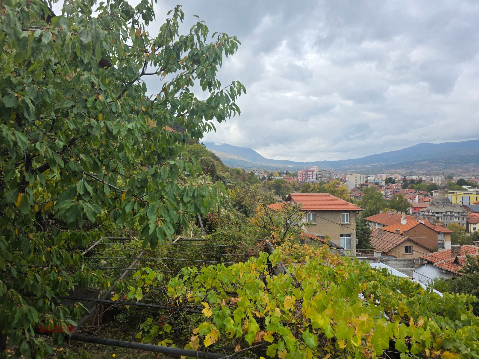 ������� ���� | Imot.bg � ����������� 16