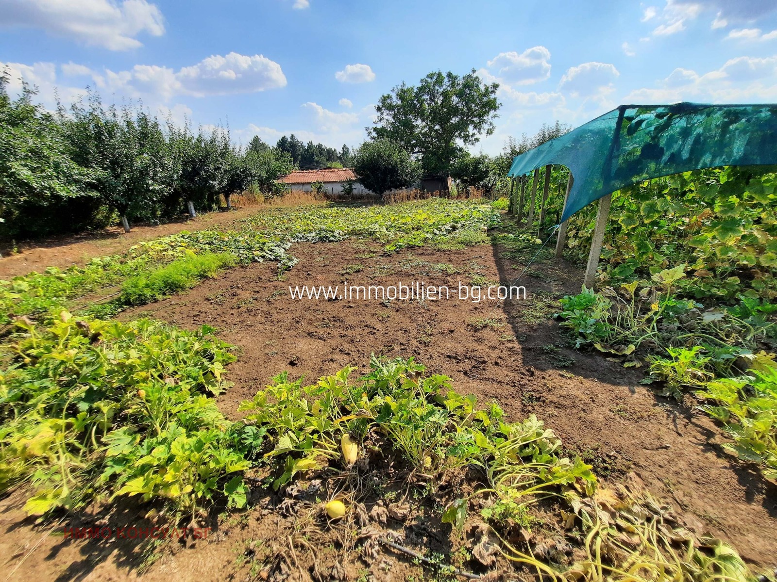 ������� ���� | Imot.bg � ����������� 14