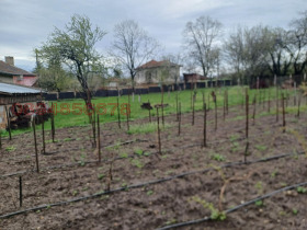 Plott Verinsko, region Sofia 3