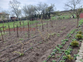 Plott Verinsko, region Sofia 1