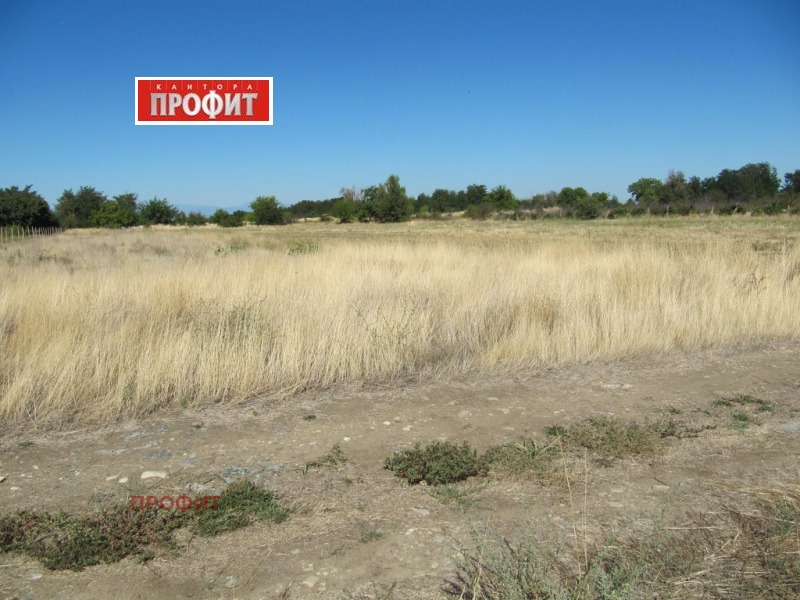 Продава  Земеделска земя област Пловдив , с. Първенец , 2.5 дка | 16313699 - изображение [6]