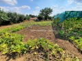 Продава КЪЩА, област Добрич, с. Ведрина • 69000 € / 134952.27 лв. • 13324972 14