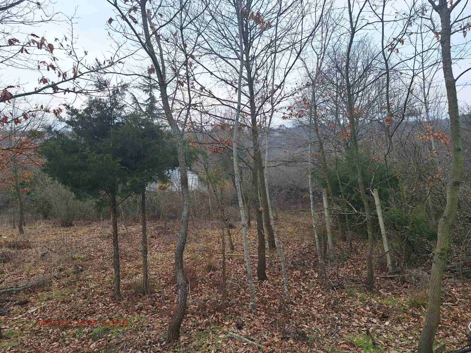 ������� ������ | Imot.bg � ����������� 6