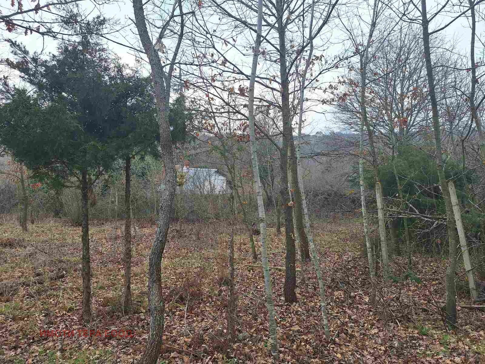 ������� ������ | Imot.bg � ����������� 4