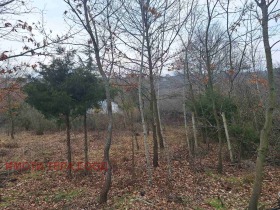 ������� ������ | Imot.bg � ����� ������ 6