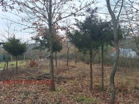 ������� ������ | Imot.bg � ����� ������ 5