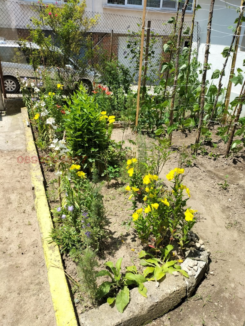 Продава КЪЩА, гр. Панагюрище, област Пазарджик, снимка 11 - Къщи - 52779661