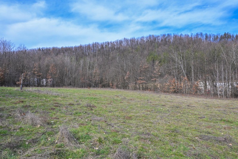 Продава ПАРЦЕЛ, с. Поповци, област Габрово, снимка 5 - Парцели - 53505792