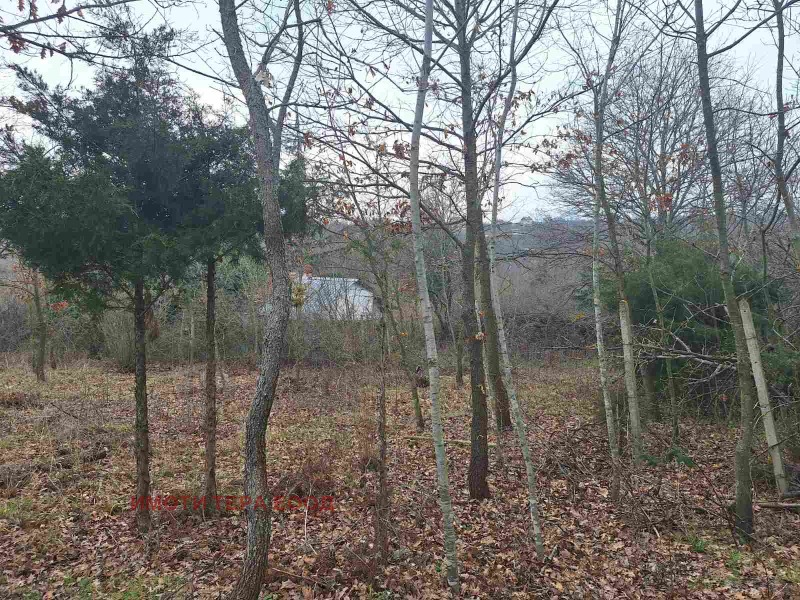 Продава ПАРЦЕЛ, с. Приселци, област Варна, снимка 4 - Парцели - 53537585