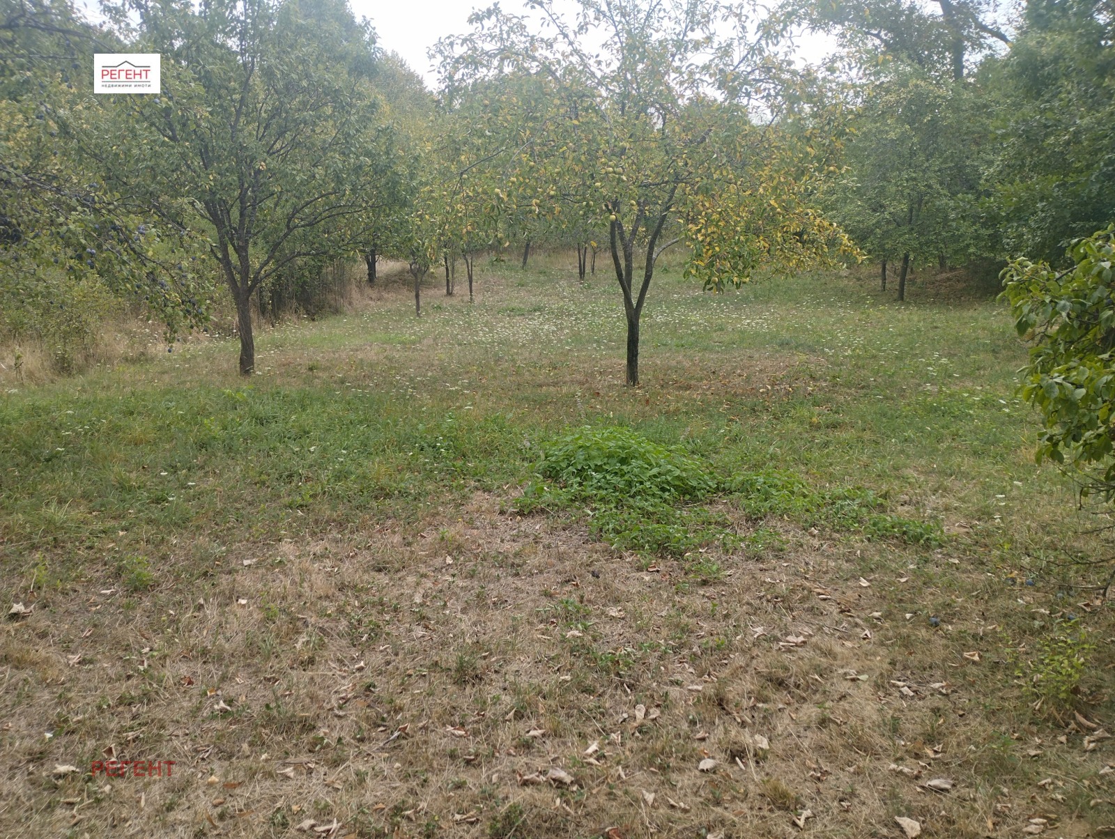 Продава ПАРЦЕЛ, с. Тодорчета, област Габрово, снимка 2 - Парцели - 46991426