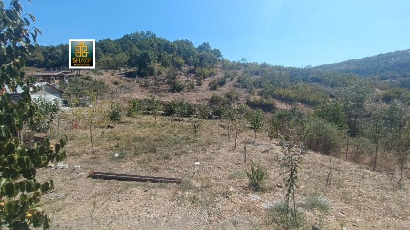 Продава ПАРЦЕЛ в област Кърджали, гр. Момчилград - 275 кв.м / 30 000 € » 58 674.90 лв., ШАРП МГ