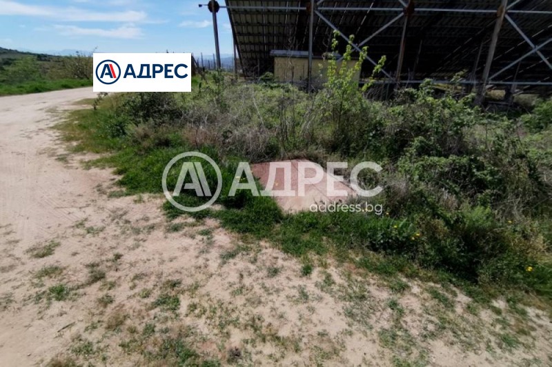 À vendre  Parcelle région Blagoevgrad , Stroumyani , 2318 m² | 84905029 - image [3]