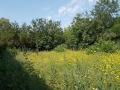 Продава КЪЩА, с. Дъбрава, област Добрич, снимка 17