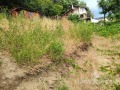 Продава ПАРЦЕЛ, град Варна, м-т Ален мак • 99000 € • 26270826 — Holmes.bg