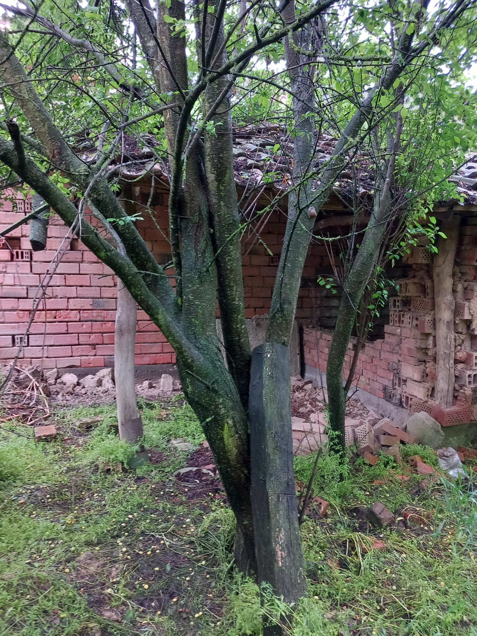 Продава КЪЩА | Imot.bg — изображение 4