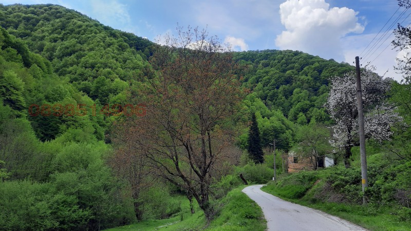 Продава ПАРЦЕЛ, с. Васильово, област Ловеч, снимка 8 - Парцели - 52779462