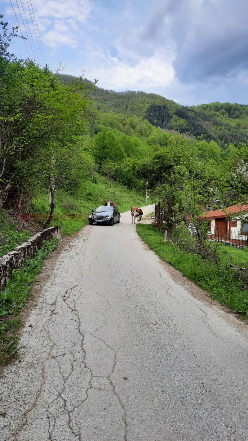 Продава ПАРЦЕЛ, с. Васильово, област Ловеч, снимка 2 - Парцели - 52779462