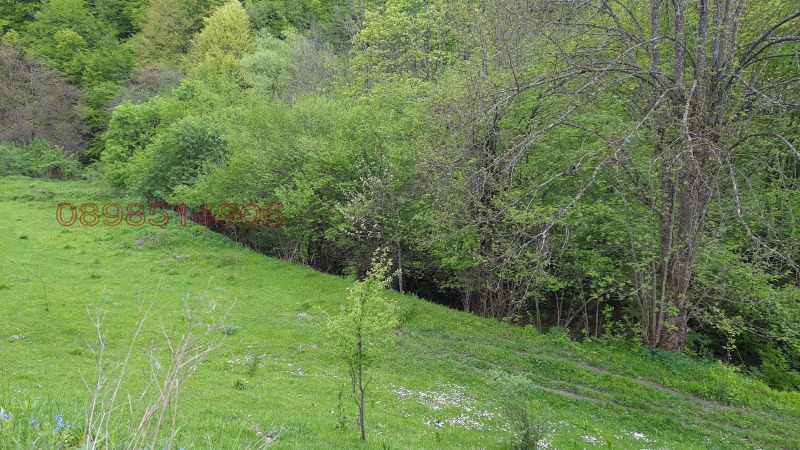 Продава ПАРЦЕЛ, с. Васильово, област Ловеч, снимка 12 - Парцели - 52779462