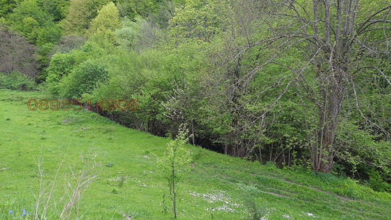 Продава ПАРЦЕЛ, с. Васильово, област Ловеч, снимка 11 - Парцели - 52779462