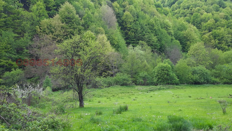 Продава ПАРЦЕЛ, с. Васильово, област Ловеч, снимка 4 - Парцели - 52779462