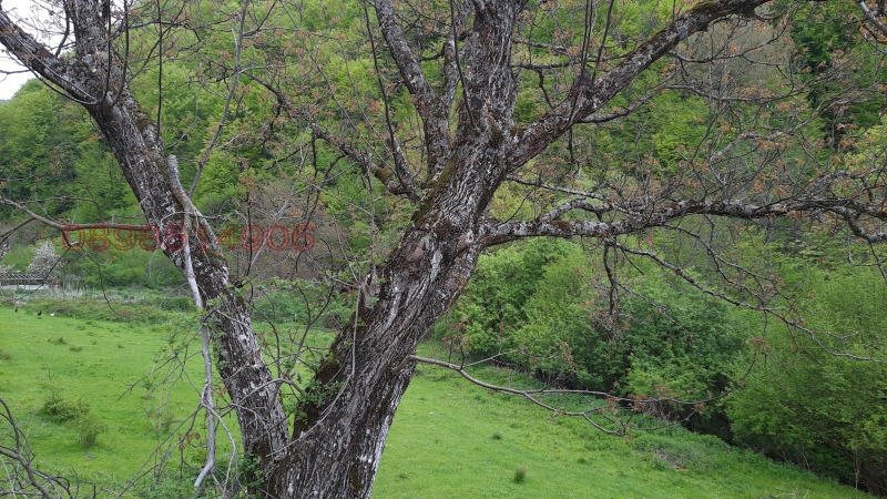 Продава ПАРЦЕЛ, с. Васильово, област Ловеч, снимка 9 - Парцели - 52779462