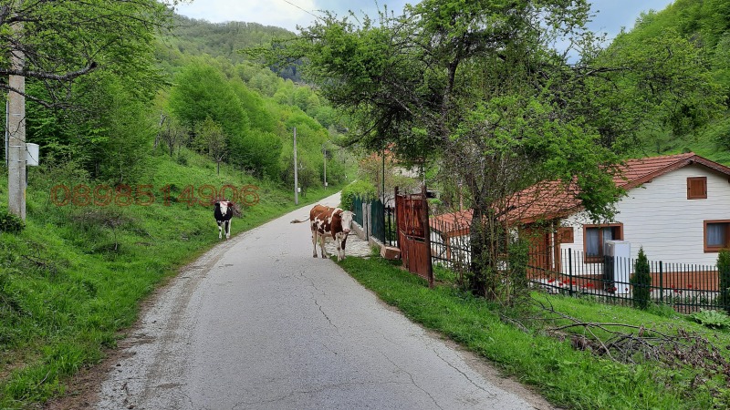 Продава ПАРЦЕЛ, с. Васильово, област Ловеч, снимка 3 - Парцели - 52779462