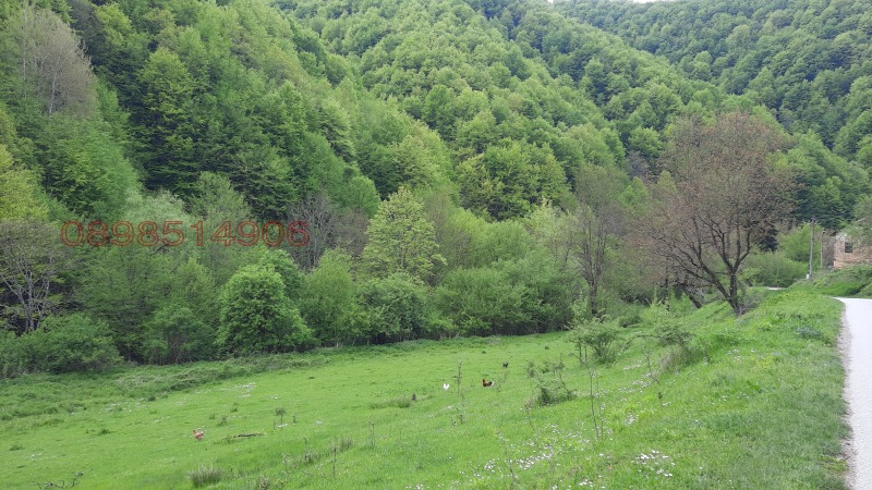 Продава ПАРЦЕЛ, с. Васильово, област Ловеч, снимка 6 - Парцели - 52779462