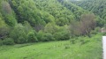 Продава ПАРЦЕЛ, с. Васильово, област Ловеч, снимка 5