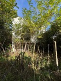 Продава  Вила град Варна , м-т Боровец - юг , 93 кв.м | 36360258 - изображение [4]