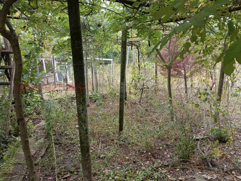 Продава КЪЩА, с. Долно Белево, област Хасково, снимка 14 - Къщи - 53173067