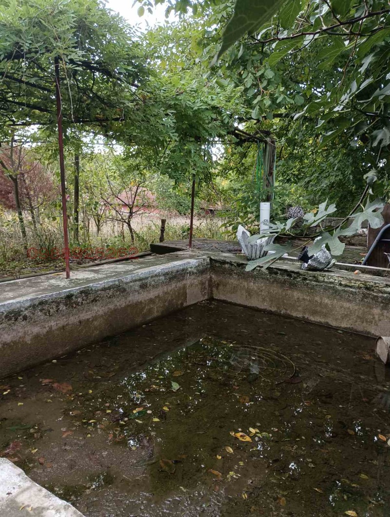 Продава КЪЩА, с. Долно Белево, област Хасково, снимка 11 - Къщи - 53173067