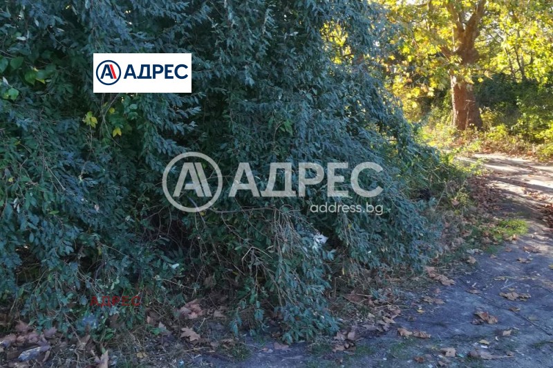 For Sale  Plot Varna , Konstantinovo , 15713 sq.m | 27873676 - image [3]