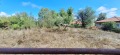 Продава ПАРЦЕЛ, област Велико Търново, гр. Елена • 8000 € • 48893578 — Holmes.bg