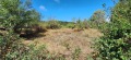 Продава ПАРЦЕЛ, област Велико Търново, гр. Елена • 8000 € • 48893578 — Holmes.bg