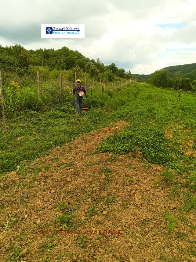 Продава ЗЕМЕДЕЛСКА ЗЕМЯ | Imot.bg — изображение 7