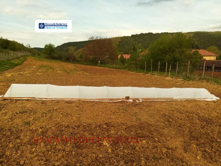 Продава ЗЕМЕДЕЛСКА ЗЕМЯ | Imot.bg — изображение 3