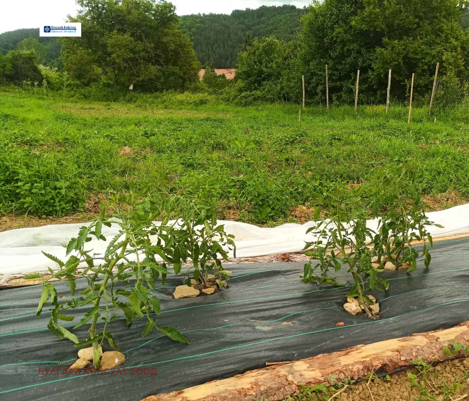 Продава ЗЕМЕДЕЛСКА ЗЕМЯ | Imot.bg — изображение 6