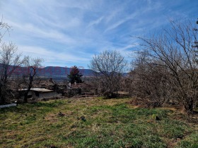 ������ ������� ������