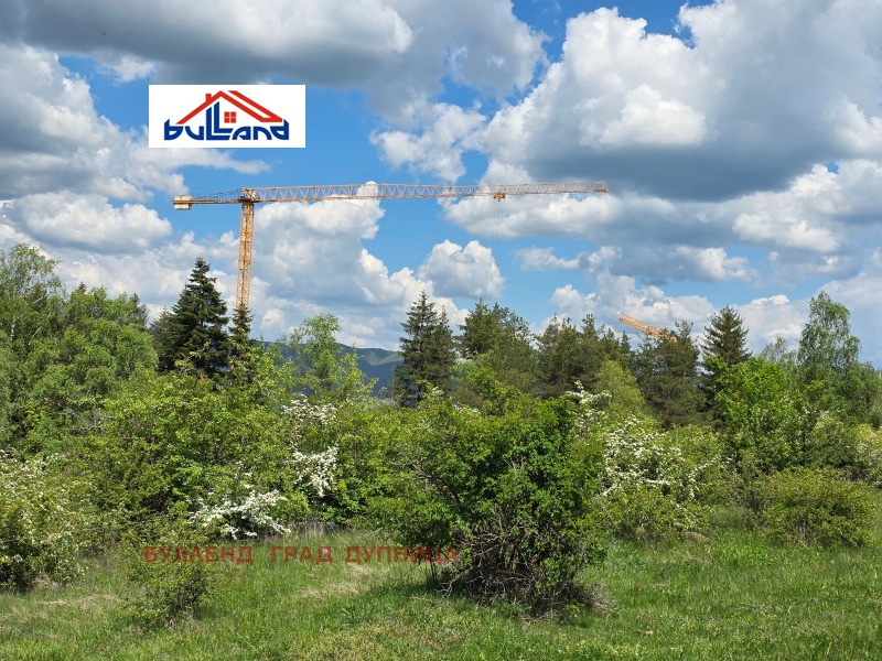 Til salgs  Land region Kyustendil , Sapareva banja , 5.377 dka | 18431987 - bilde [6]