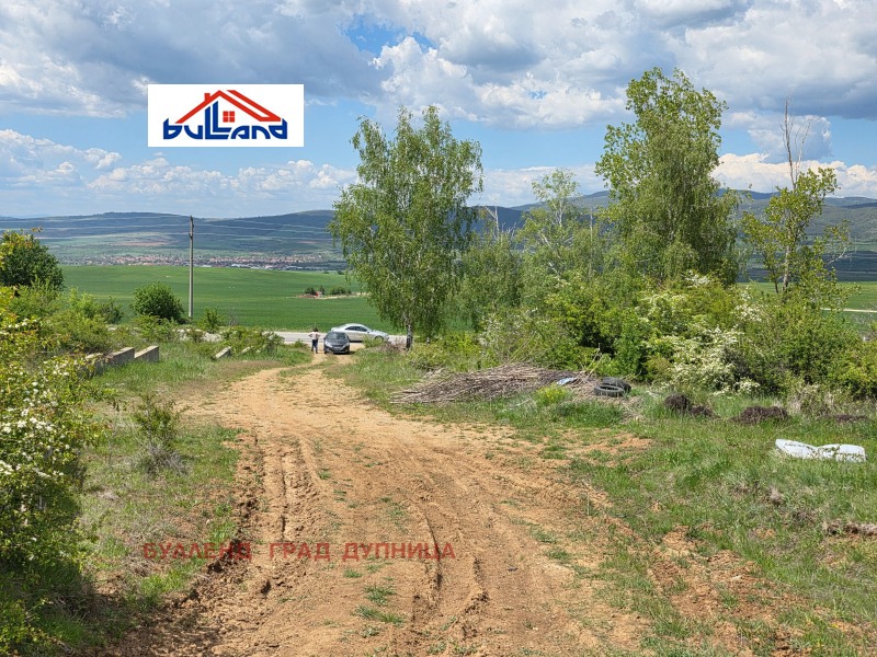 Til salgs  Land region Kyustendil , Sapareva banja , 5.377 dka | 18431987 - bilde [2]