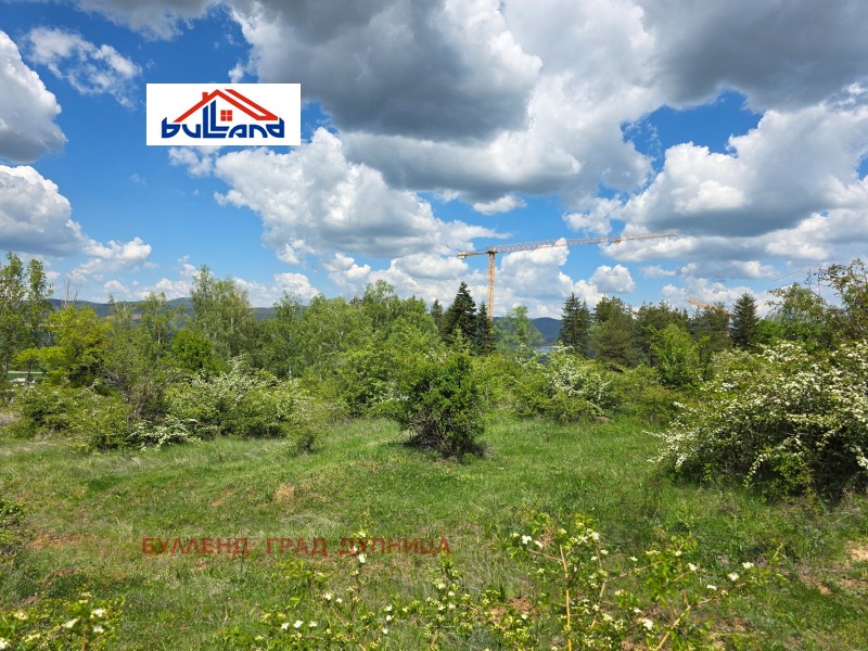 Til salgs  Land region Kyustendil , Sapareva banja , 5.377 dka | 18431987