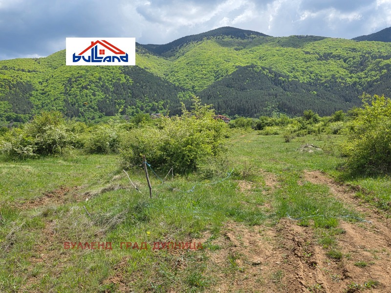 Til salgs  Land region Kyustendil , Sapareva banja , 5.377 dka | 18431987 - bilde [7]
